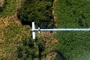 Fumigación aérea de cultivos ilícitos en Tumaco (Nariño)