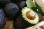 Aguacate hass