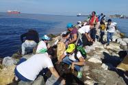 Jornada de limpieza de cuerpos hídricos en Playa Los Cocos