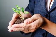 Siembra de Plantas - referencial