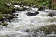 Río Combeima