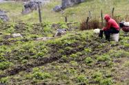 ‘Campo Emprende’ es el plan del Gobierno para impulsar el crecimiento económico y la transformación en las zons rurales.