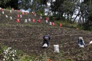 CAMPO COLOMBIANO/AGRICULTURA EN COLOMBIA/CAMPESINOS