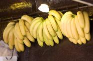 Bananos