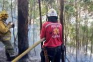 Incendios forestales.