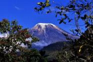 Se sustentó la política pública de “Gestión territorial del Cambio Climático para el Tolima - Ruta Dulima”.