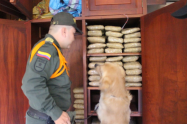 Caninos antinarcoticos hicieron el hallazgo. 