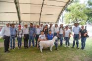 Feria 