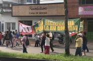 Plantón Ambalá