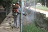 El dengue en el Tolima ha dejado cuatro muertes en los municipios de San Luis, Chaparral, El Espinal e Ibagué