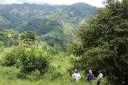 Conservación ambiental 