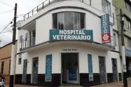 Roban a veterinaria