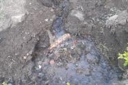 Desperdicio de agua