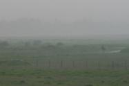 Heladas en el Tolima 