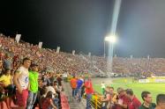 Hincha tolimense 