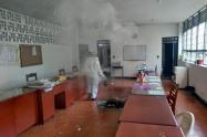 Menores atacados por abejas en El Líbano 