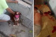 Perro muerde a persona