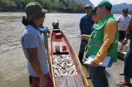 Control de pesca en el Tolima