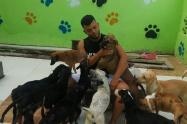 Harold Pico animalista