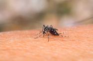 Disparados los casos de Dengue en el Tolima 