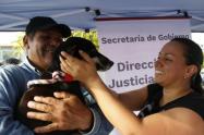 Elegidos los miembros de la junta de Protección Animal 