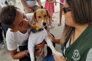 Niño dio su vida para salvar a su perro en voraz incendio 