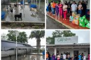 Así avanza la jornada de adopción y donación en el CAPA