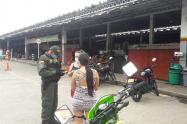 Comparendos de Ibagué