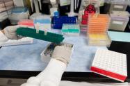 Pruebas de coronavirus