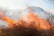 Se han presentado 769 incendios de cobertura vegetal en todo el país, de los cuales 765 han sido liquidados en su totalidad