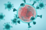 Lo falso y lo verdadero del Coronavirus