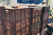 La Fundación Banco Arquidiocesano de Alimentos donó 13 toneladas de pollo crudo que serán distribuidos entre las cárceles El Buen Pastor, La Picota y La Modelo de Bogotá. 