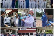 Donación Roott+Co