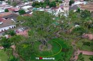 Gigante Pico y género