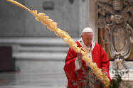 Papa Francisco en Domingo de Ramos