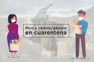 Pico y Género
