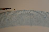 Sismo, temblor, Ecuador