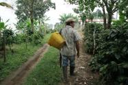 Sector rural de Ibagué