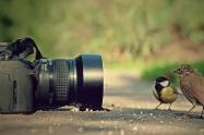 Participe en la convocatoria de fotografía de la Universidad del Tolima