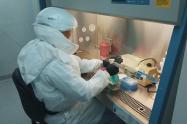 Laboratorio.