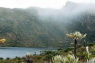 Una de las metas establecidas por la Gobernación, es plantar 1 millón de árboles y reforestar 900 hectáreas