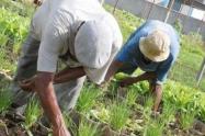 Mejorar la productividad, fortalecer los procesos de transformación y agroindustria y generar valor agregado