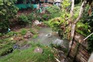 Hato de la virgen