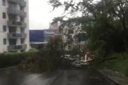 Emergencia sobre la carrera 6a con calle 48