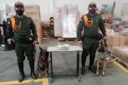 Marihuana incautada en Ibagué