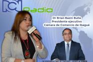 Presidente ejecutivo de la Cámara de Comercio de Ibagué