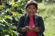 No inclusión del Tolima en licitación que adelanta la Agencia de Desarrollo Rural, para la aplicación del proyecto de Extensión Agropecuaria