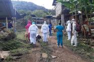 El INS ha reportado 15 casos de Coronavirus a la fecha en Icononzo