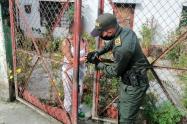 Recuperación de fauna en Ibagué.