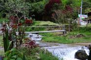 Ecoturismo Toche